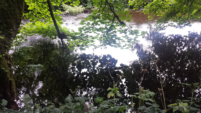 Welcome to the world of Jody Atkins