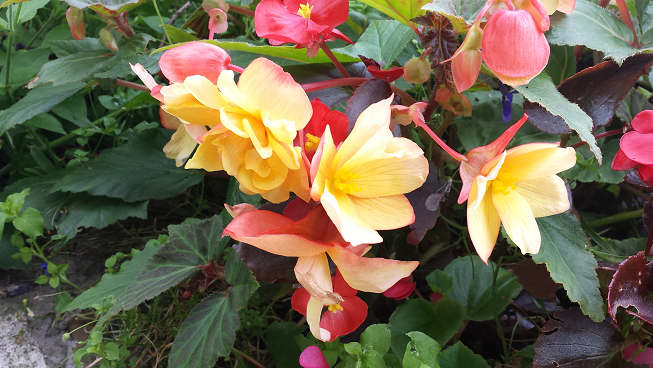 Welcome to the world of Jody Atkins