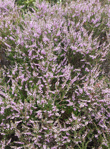 Welcome to the world of Jody Atkins